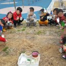 지산초병설유치원 이미지