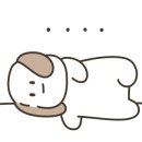 센텀애견샵 이미지