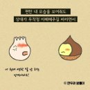 초심 이미지