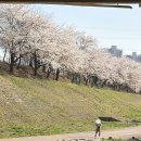 덕풍천동로 이미지