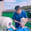 용인시 동물보호센터 이미지