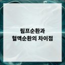 순환서로 이미지