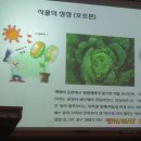 방아농장 이미지