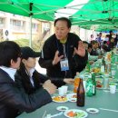 금성초등학교 Daum카페
