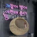 멍스테이펜션 이미지