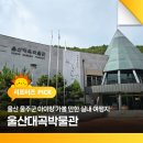울산대곡박물관 | 울산 울주군 아이랑 가볼 만한 실내 여행지 울산대곡박물관