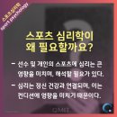 스포츠심리학 이미지