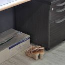 뷰티밸런스