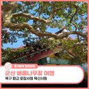 문창문구 | 군산 배롱나무꽃 여행 옥구 향교 문창서원 옥산서원