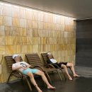 짐포레스트 방배점 | [제천여행] 리솜 포레스트 수영장 해브나인스파 할인 준비물 성수기 꿀팁