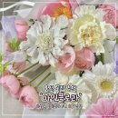 아인플로라 이미지