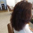 (주)호텔롯데 롯데시티호텔대전 이미지