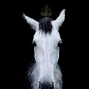 정재석농장 이미지