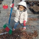 자매농장 이미지