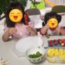 신북읍 발산2리 경로당 | <춘천 딸기따기 체험ㅡ 춘천 발산2리>춘천 아이랑 체험 /춘천 딸기/춘천 신북읍 딸기/춘천 딸기시즌...