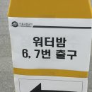 2023 서울 워터밤 It&#39;s going down &lt;그린팀 후기&gt;
