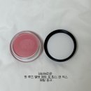 바비메이크 | 틴트 백화점&올리브영 구매 추천 리스트 (바비브라운 페탈핑크, 웨이크메이크 쉬어핑크 내돈내산 후기)