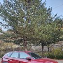 돌집야영장 이미지