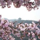 (구)제일은행 4가 이미지
