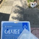 우산종로약국 이미지