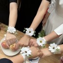 하우스테이 이미지