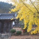 사람냄새