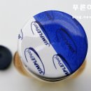 블루스카이코퍼레이션 네이버블로그