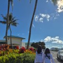 섬바위농장 | [하와이 이웃섬] 오하우에서 당일치기로 다녀온 카우아이 1일 투어 후기