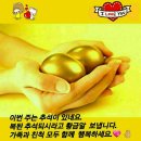 알 - 강릉시 창해로 423 | 알