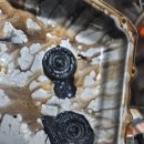 한국EAC정비사업소 | [청주 수입차] 쉐보레 콜로라도 토크 컨버터 교체 후기