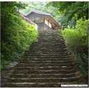 정관장옥동점 - 안동시 광명로 162 | 정관장옥동점