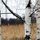 아현디자인 이미지