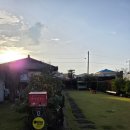 제주 빙새기 이미지