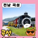 동산농장 | 기관차 미니기차 레일바이크 차이점 및 후기 . 놀이기구 동물농장 , 곡성세계장미축제 꿀팁까지 총정리🧡