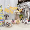 퍼피팝 | 김포 강아지 생일 케이크 선물 생일파티 퍼피팝 준비 후기