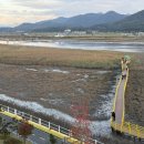 신성리생태공원 이미지