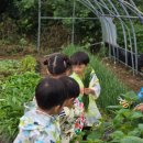 포항삼성어린이집 이미지