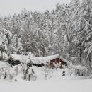 숲속의하얀집 이미지