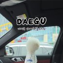 멍멍아학교가자 (대명점) 이미지