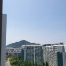 초정마을공인중개사사무소 이미지