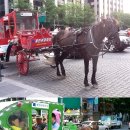 달리는마차 이미지