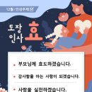 인성 태비 태권도 이미지