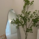 슬림한 체형&건강 전신요가 | 송도 체형교정 혈액순환에 좋은 올플라잉요가 솔직후기