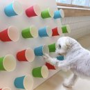 털로덮인친구들(동탄호수공원점) 이미지