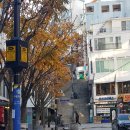 40계단 칠엽수거리 이미지