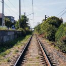 추석 KTX 경전선·강릉선·동해선·중앙선·중부내륙선 예매 언제? 예매 일정과 예매 방법 이미지