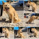 함평농협주유소 이미지