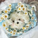 수그린꽃