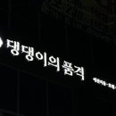 댕댕이의 품격 이미지