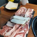 돌리고 제주도야지 이미지